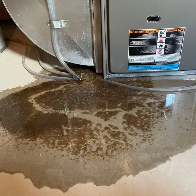 Pipe Burst and Leak Restoration in East Hanover, NJ
